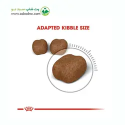 غذای خشک گربه مراقبت از دهان و دندان اورال رویال کنین (Royal Canin Cat Oral Care) وزن 1.5 کیلوگرم
