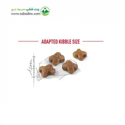 غذای خشک گربه کیتن رویال کنین (Royal Canin Cat Kitten) وزن 2 کیلوگرم