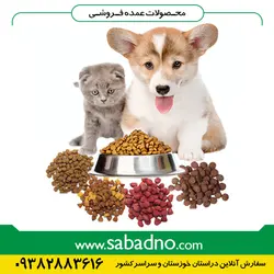 غذای تست سگ و گربه