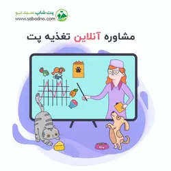 مشاوره آنلاین تغذیه پت همراه با ویزیت توسط دامپزشک (به زودی)