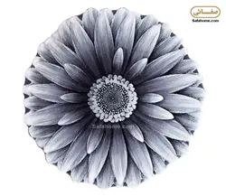 پادری زرباف طرح داوودی گرد طوسی - صفاهوم