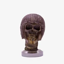 خرید تمپر قهوه دسته اسکلتی سایز 51 کد 1210004 - قهوه سالیز