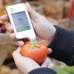 ردیاب مواد غذایی(تستر نیترات برای میوه و سبزیجات) کد 226