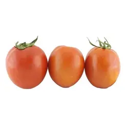 گوجه فرنگی