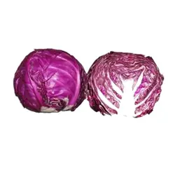 کلم بنفش متوسط