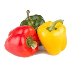 دلمه رنگی گلخانه