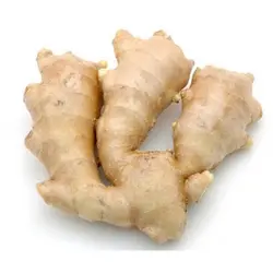 زنجبیل تازه