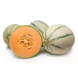 طالبی راک