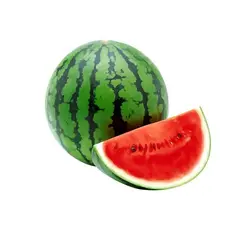 هندوانه کوچک