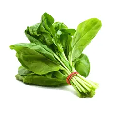 اسفناج
