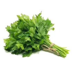 جعفری