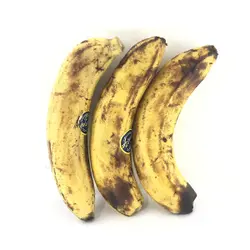 موز خالدار (درجه دو)