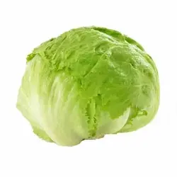 کاهو توپی(عمده)