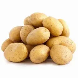 سیب زمینی متوسط(عمده)