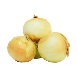 پیاز زرد متوسط (عمده)
