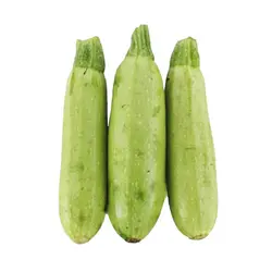 کدو سبز بزرگ(عمده)