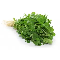 شنبلیه