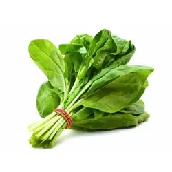 شاهی