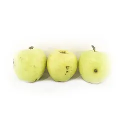 سیب ابگیری(عمده)