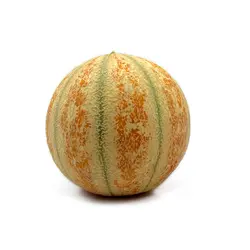 طالبی شاه پسند کوچک