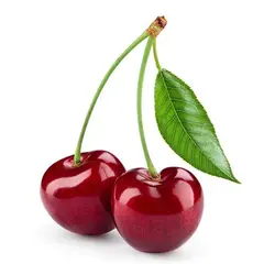 گیلاس