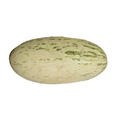 خربزه افغانی
