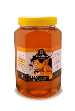 عسل طبیعی دو کیلویی شهد فام
