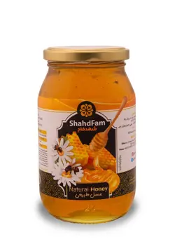 عسل طبیعی 700 گرمی شهد فام