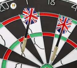 دارت حرفه ای ZX