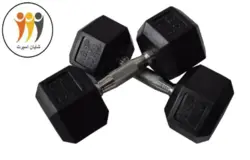 دمبل شش گوش 10 کیلوگرم