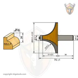 تیغ اور فرز بانکی R25 اتنسی