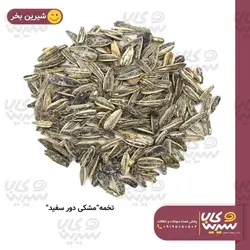 تخمه آفتابگردان مشکی دورسفید