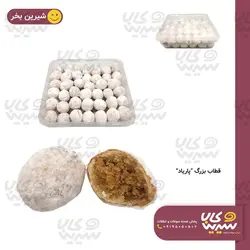 قطاب بزرگ “پاریاد”