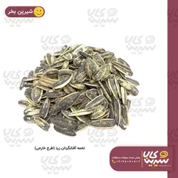 تخمه آفتابگردان زرد (طرح خارجی)