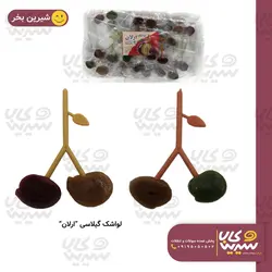 لواشک گیلاسی “ارلان”