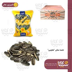 تخمه نمکی “هلچین” 100 گرمی