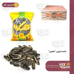 تخمه لیمویی “هلچین” 100 گرمی