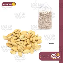 تخمه کدو