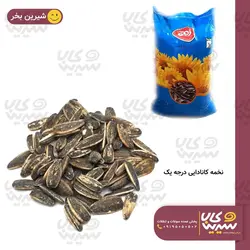 تخمه کانادایی درجه یک