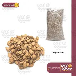 تخمه هندوانه “هلچین”
