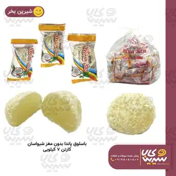 باسلوق پاندا بدون مغز 