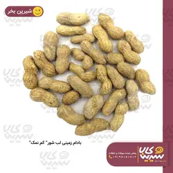 بادام زمینی لب شور “کم نمک”
