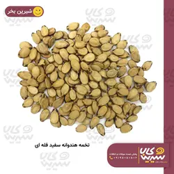 تخمه هندوانه فله ای