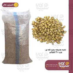 تخمه هندوانه فله ای