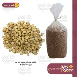 تخمه هندوانه فله ای