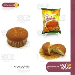 کیک لی لی پوتی 2500 فروش مینا