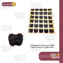 لواشک سیب و انار 100 عددی 