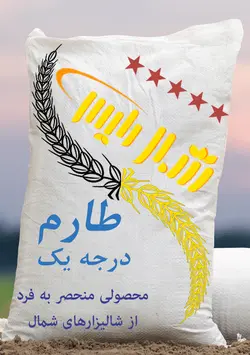 خرید برنج طارم درجه یک