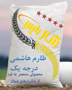 خرید برنج طارم هاشمی