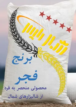 خرید برنج فجر